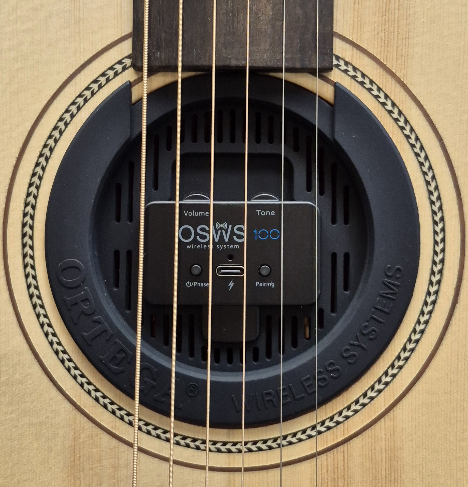 PEGASUS OSWS-100